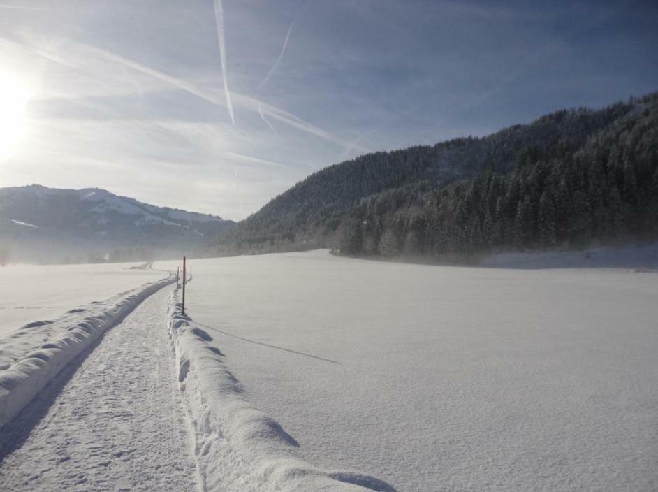 Apartment Streifblick Reith bei Kitzbühel Εξωτερικό φωτογραφία